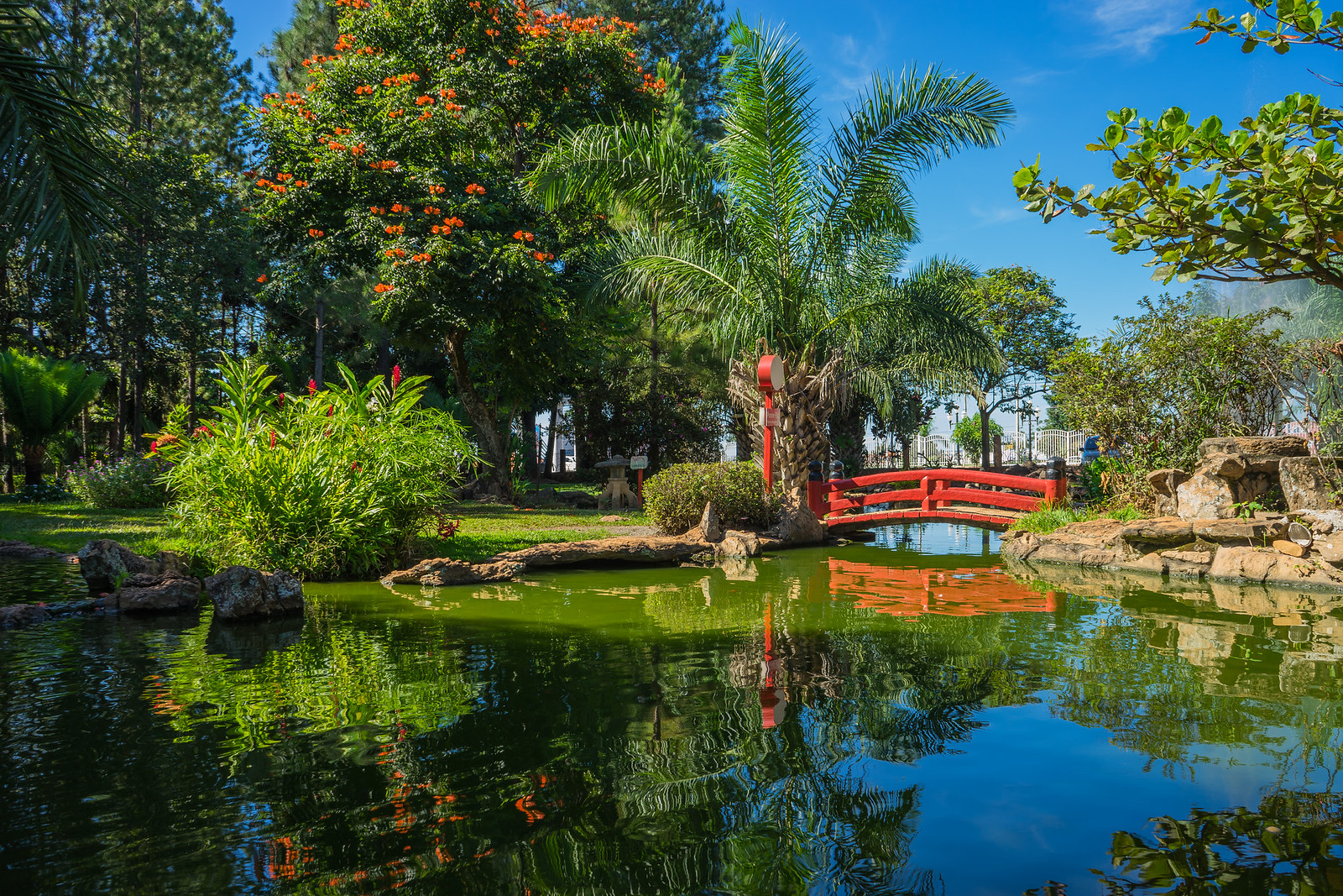 Jardim Japonês em Caldas Novas