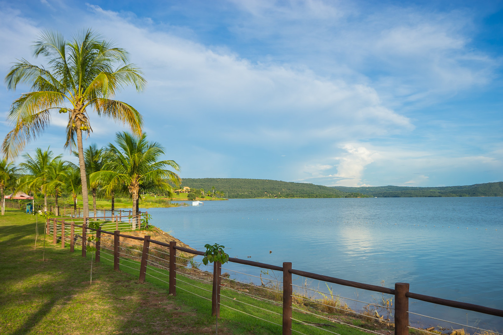 Lago Corumbá em Caldas Novas ao lado de palmeiras